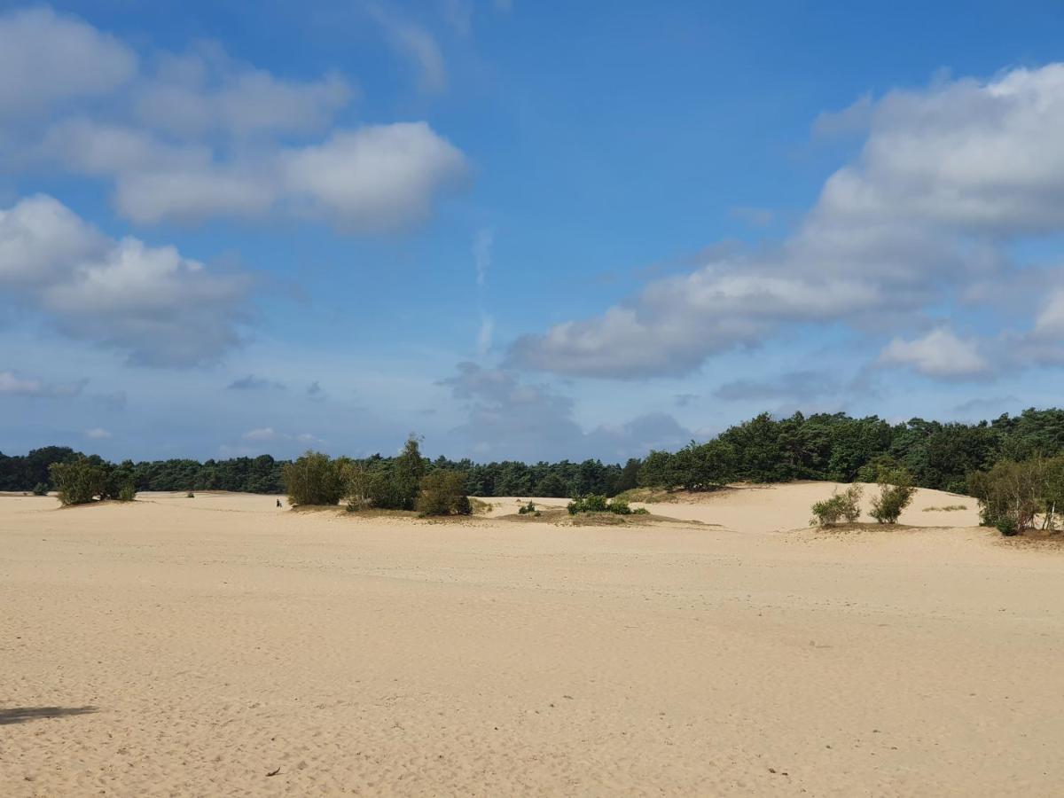 Chalet 11, In Het Bos Doornspijk Exteriör bild